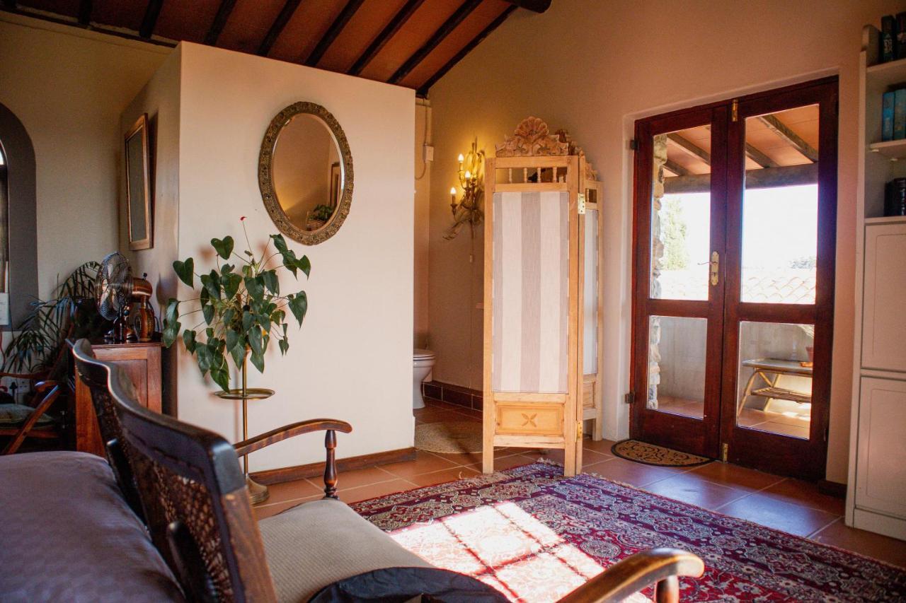 Bed and Breakfast Casa Mori House Municipalità locale di Municipalità locale di Stellenbosch Esterno foto